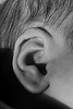 Ear close up